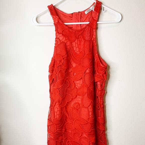 Lovers + Friends Red Dress - Picture 2 of 4